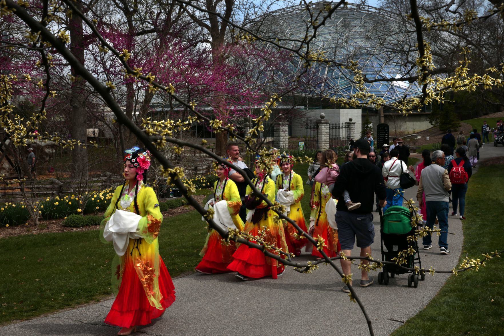 Discovering Chinese culture at MoBot
